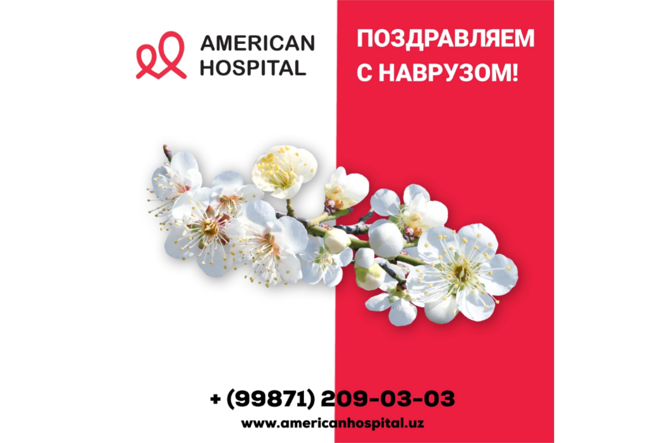 Поздравляем с Наврузом!